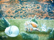 <i>Storia di Vecchie Conchiglie (verde)</i> - litografia - cm.50x70 (cod.DSC02322)
