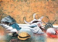 <i>Tante Conchiglie</i> - litografia - cm.50x70 (cod.DSC02325)